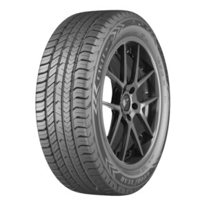 205/55 R16 91V EAGLE SPORT SL