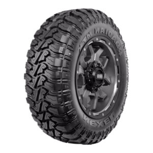 265/70 R17 10PR 121/118Q ROADIANT MTX RM